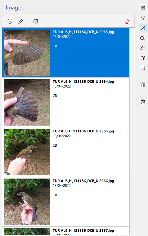 Images view